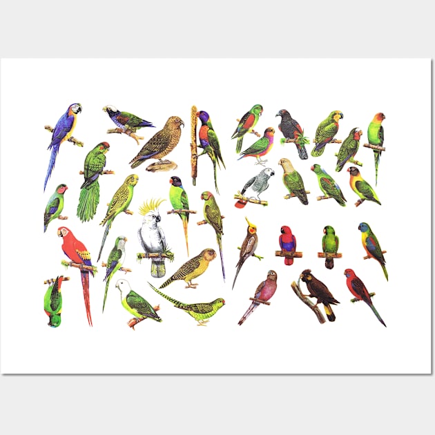 Exotic parrots Wall Art by arkitekta